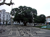 Main Square